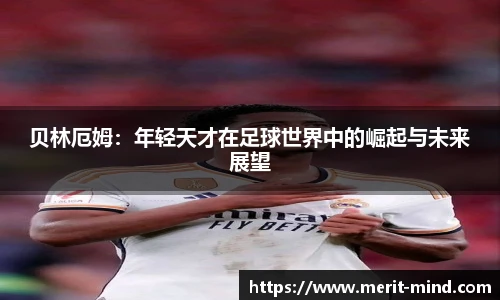 XK星空官方网站