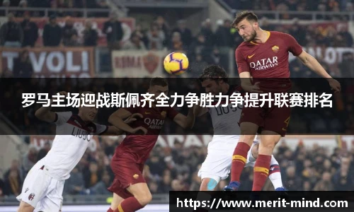 XK星空官方网站